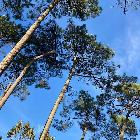 Family Between Sea And Forest Semesterbostad Lanton