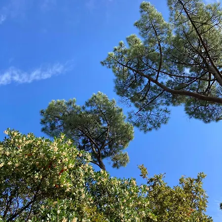 Au Calme, Grand Jardin, Foret & A Pied 兰顿