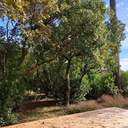 Au Calme, Grand Jardin, Forêt&plage à Pied