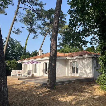 Au Calme, Grand Jardin, Forêt&plage à Pied * Lanton
