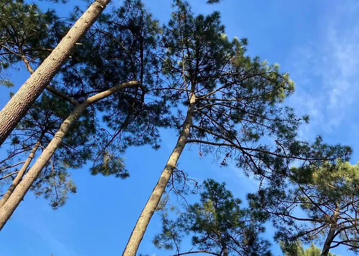 Family Between Sea And Forest Feriehus Lanton