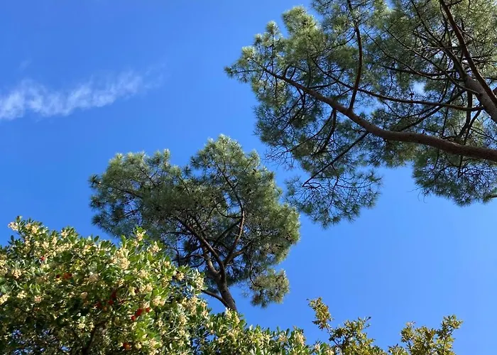 Family Between Sea And Forest Lanton